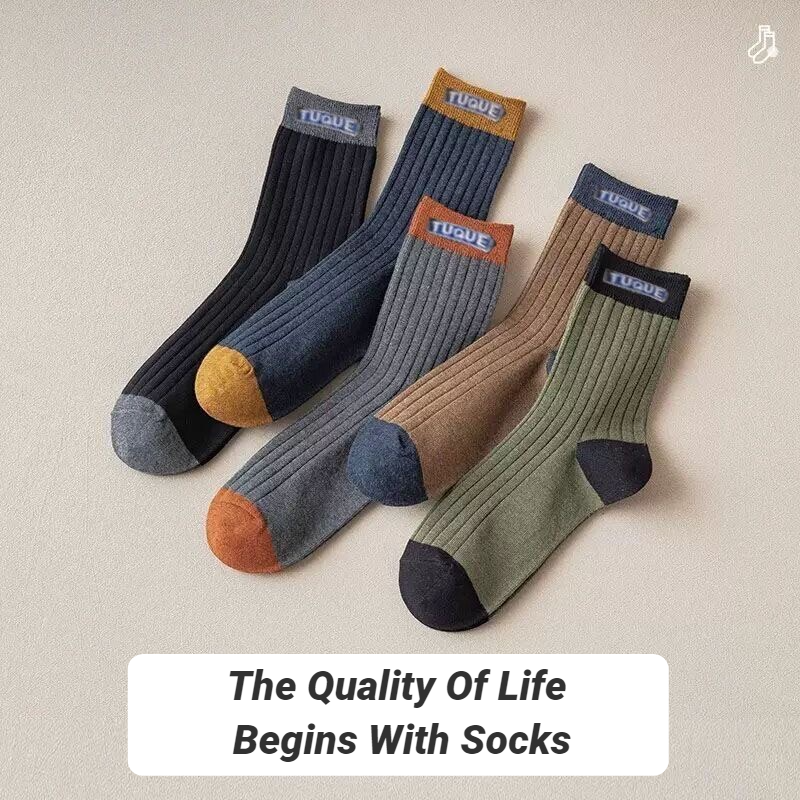 Embellish Knit - 5 Pairs Men's Trendy Color Block